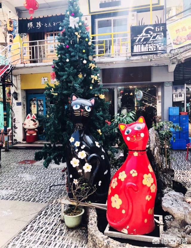 为什么那么多人去厦门旅游？