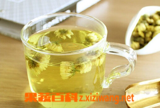 胎菊花茶的泡法