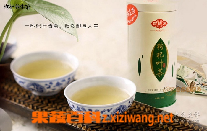 枸杞叶茶的功效