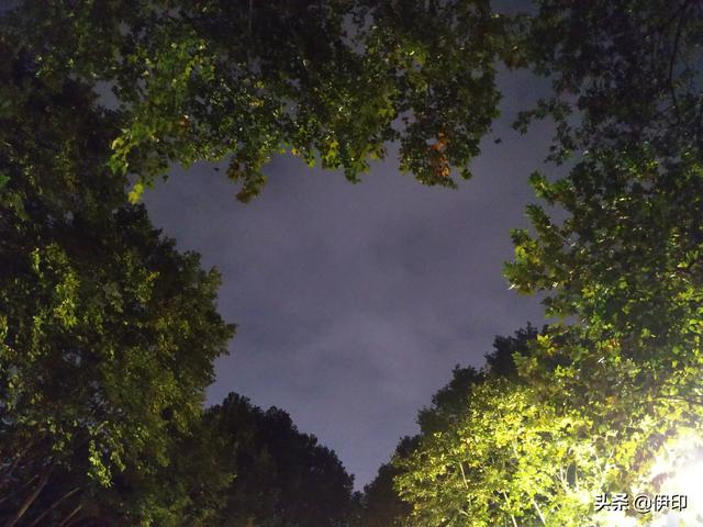 嘉兴有哪些免费的景点可以推荐一下?