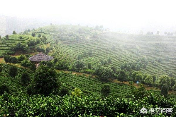 到桂林旅游，你最想去哪个景区玩？