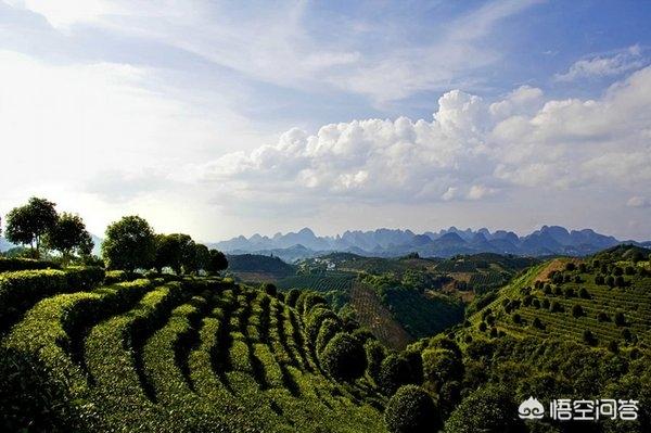 到桂林旅游，你最想去哪个景区玩？