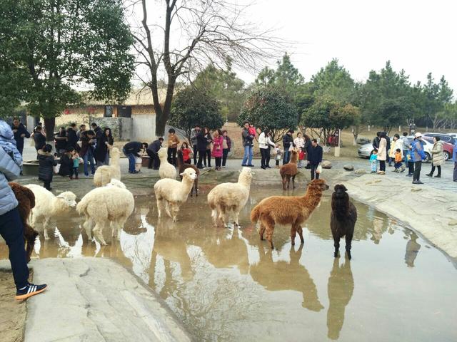 常州有哪些5A级旅游景区？哪些比较好玩？