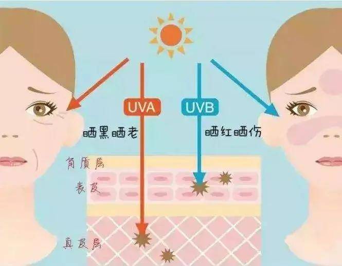 毛孔粗大几年了还能恢复吗 毛孔粗大怎么办