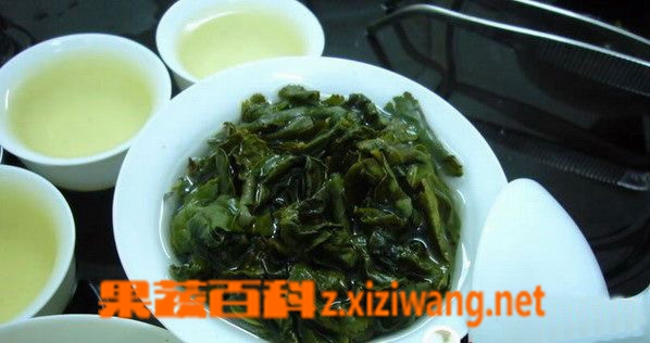 铁观音茶叶知识
