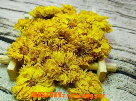黄菊花茶的功效与作用
