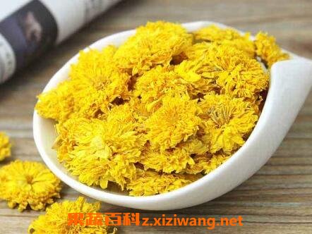 黄菊花茶的功效与作用