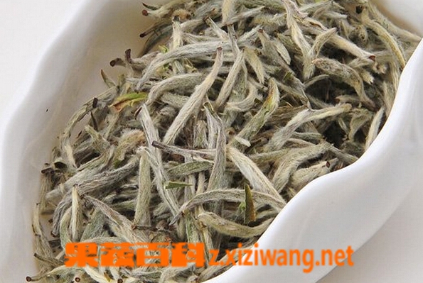 福鼎白茶怎么喝 福鼎白茶泡法技巧