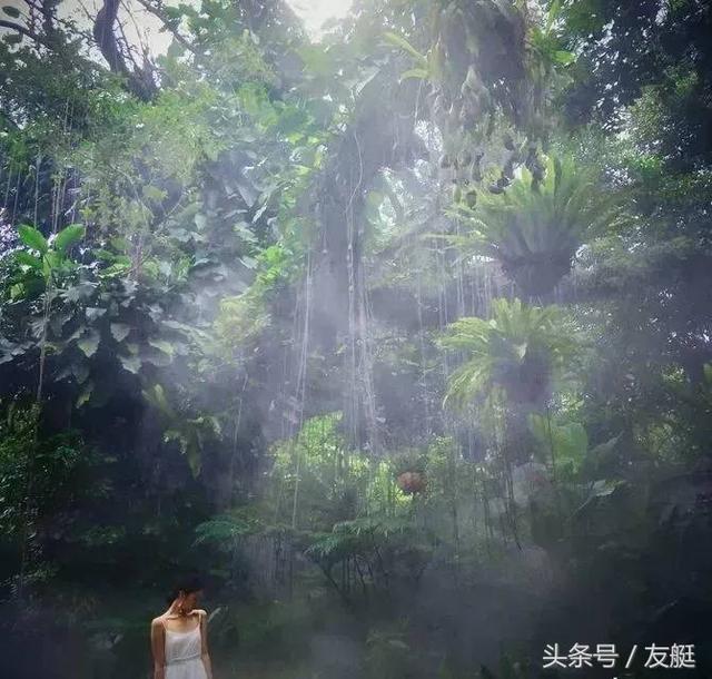 打算去厦门玩,厦门有哪些适合拍照的好地方?