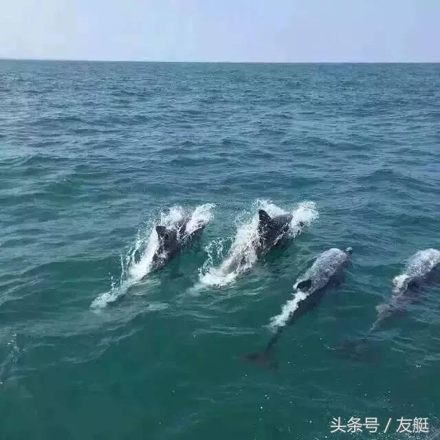 打算去厦门玩,厦门有哪些适合拍照的好地方?