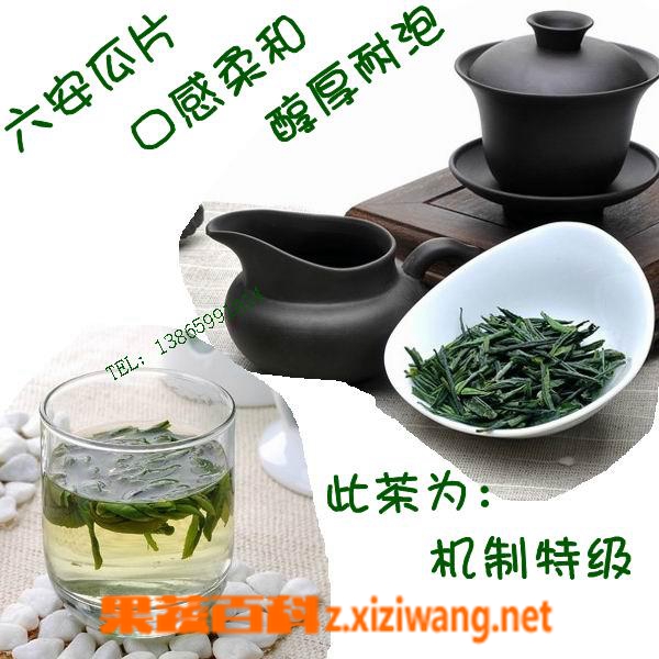 六安瓜片属于什么茶 六安瓜片的功效