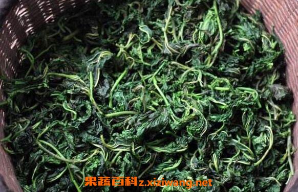 桑葉茶有什么好處 桑樹葉泡水的危害