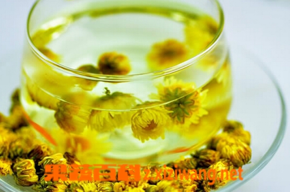 胎菊茶如何喝 胎菊茶的泡法