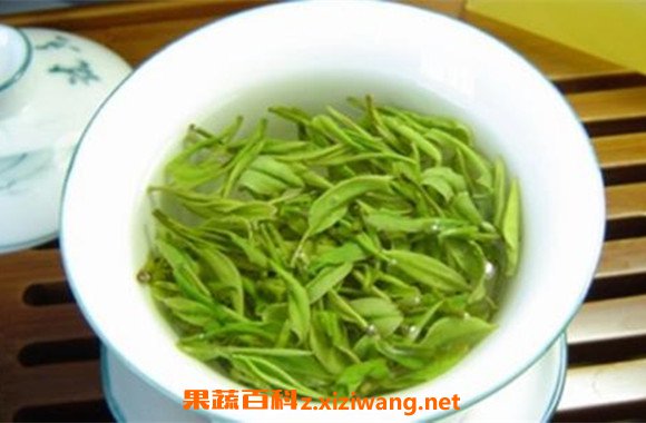 雀舌和毛尖的区别