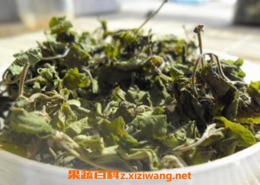 酸枣叶茶的功效与作用 酸枣叶茶的副作用