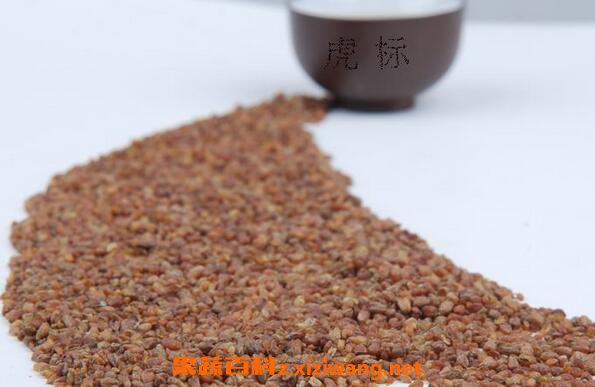 黑苦芥茶的功效与作用 黑苦芥茶的食用方法