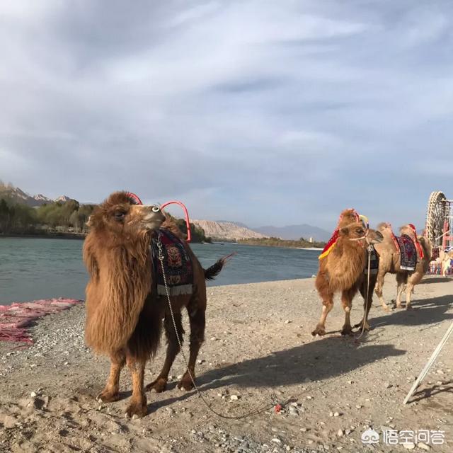 什么月份去青海最好？