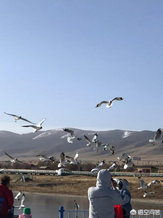什么月份去青海最好？