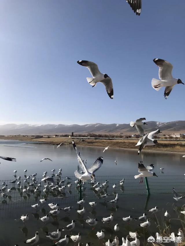 什么月份去青海最好？