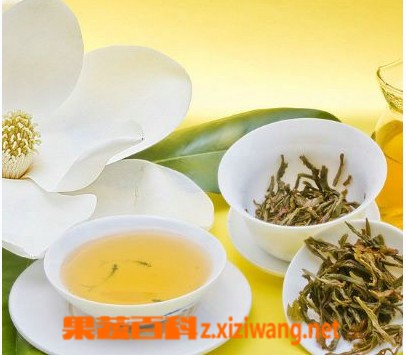 蒲公英茶的作用与功效