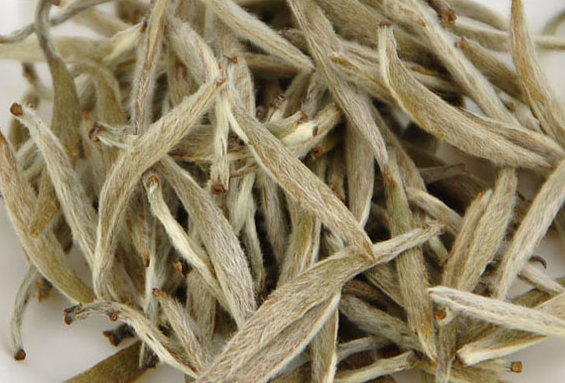 夏天喝白茶的好處有哪些