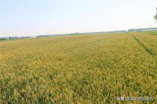 人们出去走走，边走边玩的意义，可以分享吗？