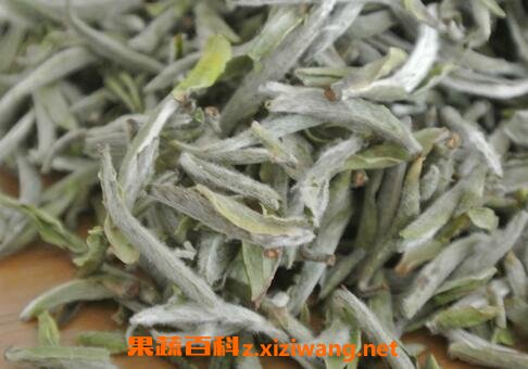 白豪银针茶的冲泡比例 白豪银针茶的保质期和保存方法