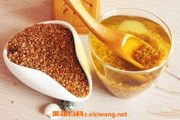 苦荞麦泡水喝的功效 苦荞麦能直接泡水喝吗