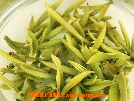 君山黄茶怎么泡 君山黄茶的泡法教程