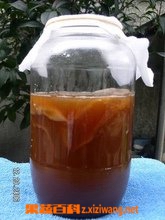 红茶菌是什么 红茶菌的功效