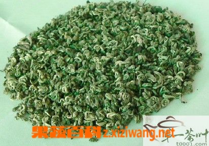 碧螺春泡法