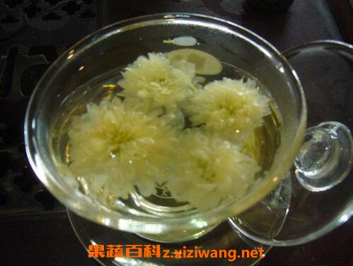 菊花茶為什么會變綠 菊花茶變綠以后能喝嗎