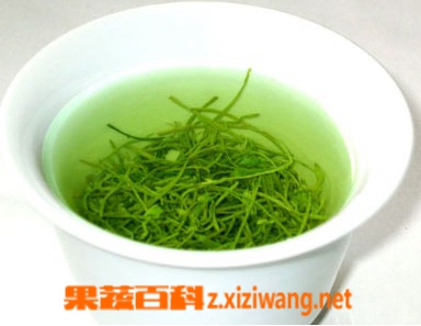 绿茶冲泡时间