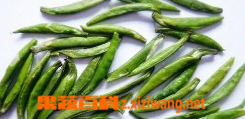 竹叶青简介和图片 竹叶青的功效与作用