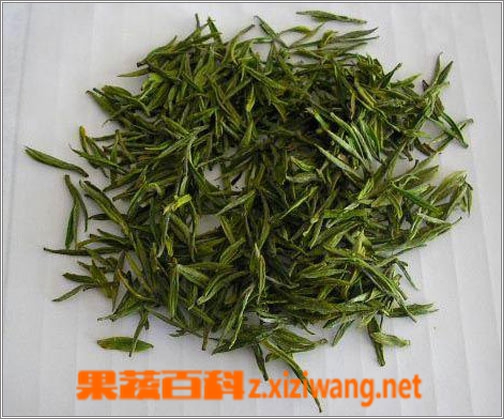 安吉白茶的功效与营养价值