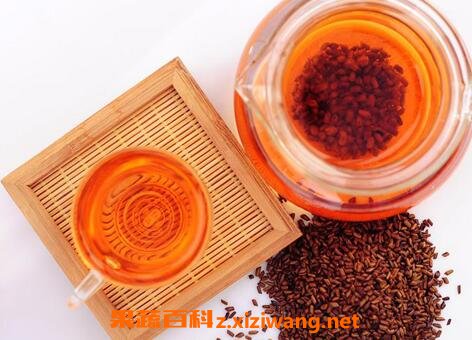 决明子茶的功效与作用及食用方法