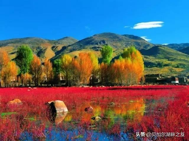 陌生人，你们有哪些特别想去的地方？