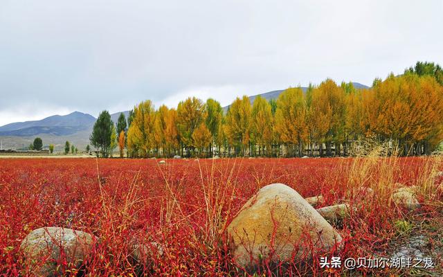 陌生人，你们有哪些特别想去的地方？