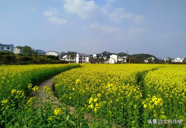 疫情结束后，你最想去哪个古镇转转，拍拍美片？