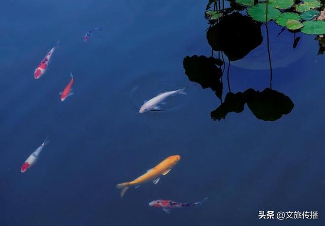 疫情结束后，你最想去哪个古镇转转，拍拍美片？