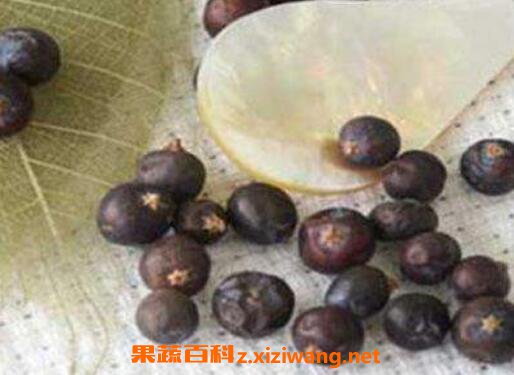 杜松實(shí)的功效與作用 杜松實(shí)的藥用價(jià)值