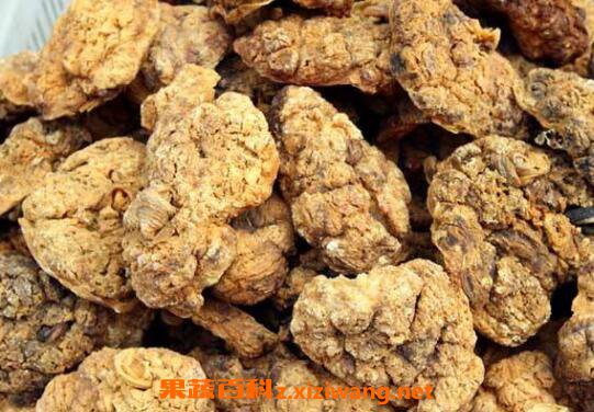 紫河車(chē)的功效與作用 紫河車(chē)的藥用價(jià)值