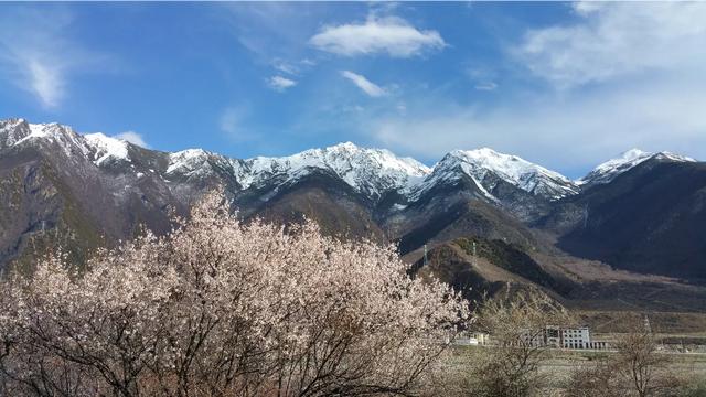 晒晒你在318川藏线上的美图,你对这次旅游感触最深的是什么?