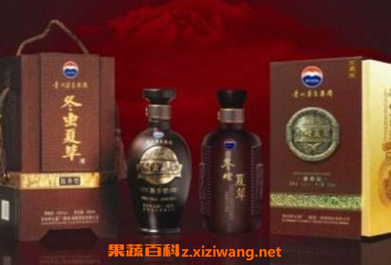 冬虫夏草酒的功效与作用