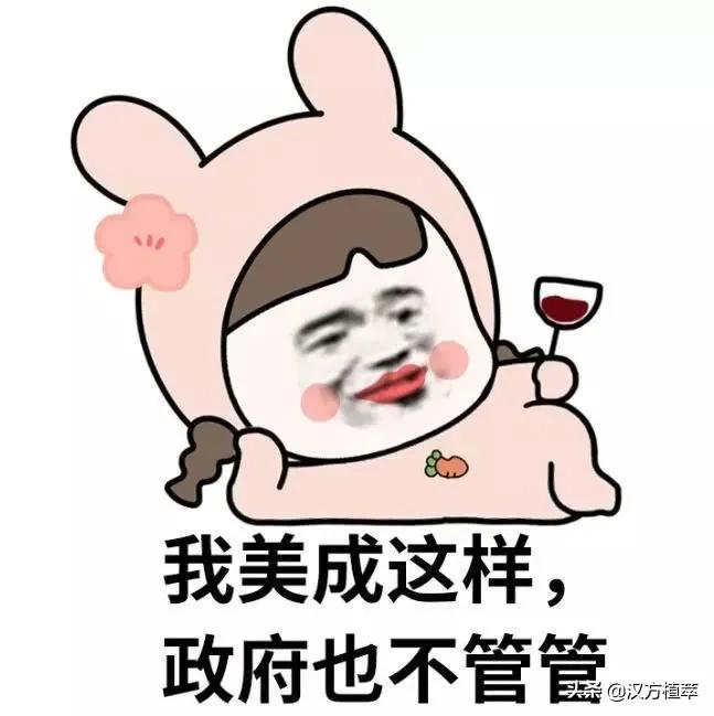 脸上都是毛孔用什么药能抹好 脸上毛孔大怎么办