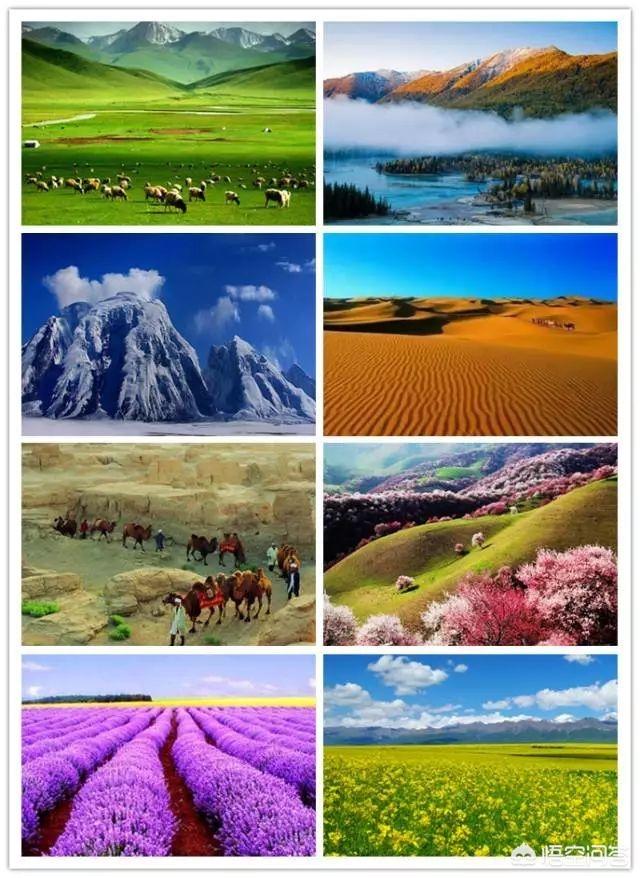 我觉得中国最美在新疆,你呢?