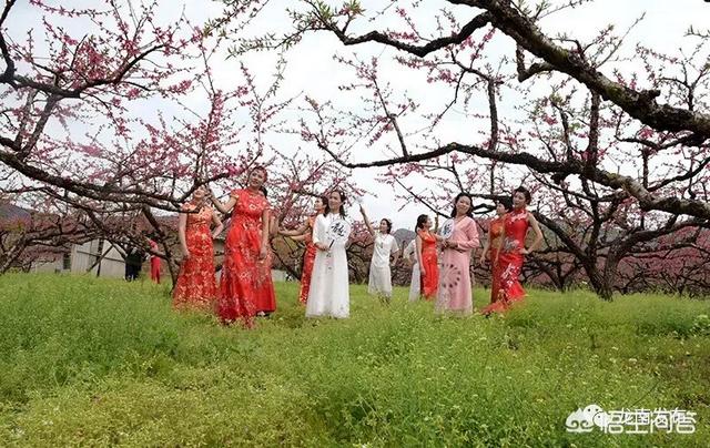 2月底3月初广东多地举办桃花节,各地的桃花节都有什么特色?