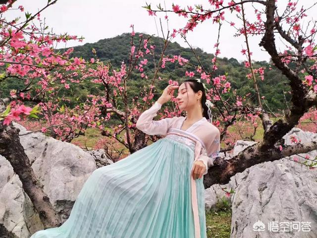 2月底3月初广东多地举办桃花节,各地的桃花节都有什么特色?