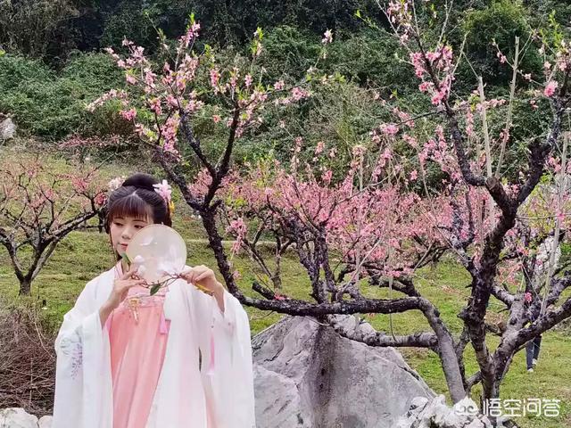 2月底3月初广东多地举办桃花节,各地的桃花节都有什么特色?