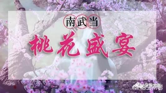 2月底3月初广东多地举办桃花节,各地的桃花节都有什么特色?